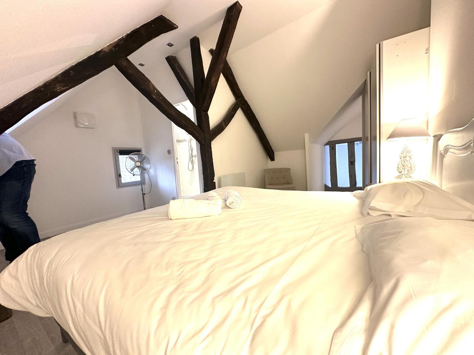 Batisse Paradis- 3 Appartements Calmes Et Elegants Au Centre Historique De Beaune 博讷 外观 照片